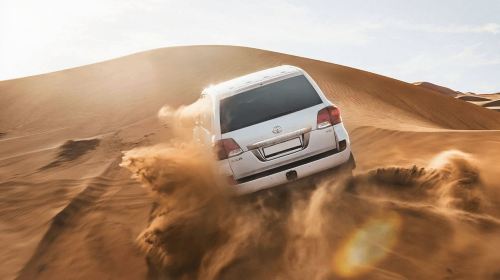 Abu Dhabi Al Khayma Seahorse Morning Dune Bashing Experience Day Tours