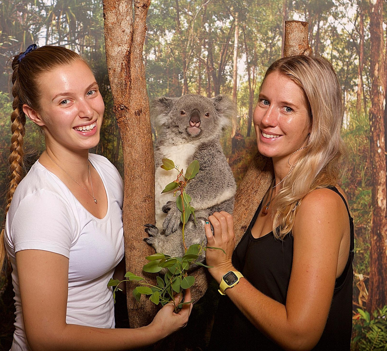Hartley's Crocodile Adventures: Hartley's Koala Breakfast