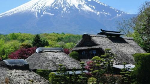 Mount Fuji, Oshino Hakkai & Gotemba Premium Outlets: Guided Bus Tour from Tokyo