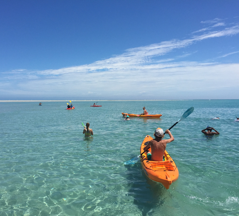 From Hervey Bay: Half-Day K'gari Fraser Island Beach Cruise
