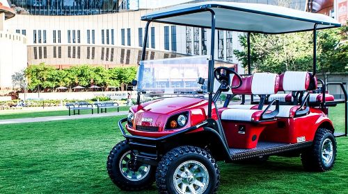 Murals of Nashville Instagram Tour by Golf Cart