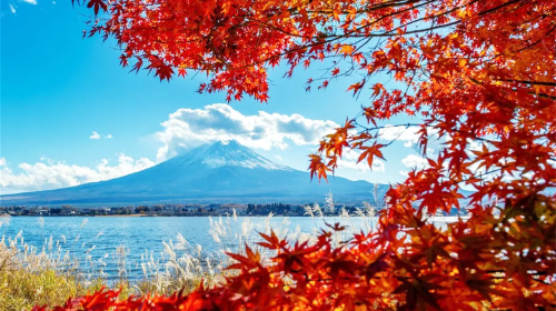 Mount Fuji Seven Views Instagram Hotspots, Viral Lawson, Oishi Park at Lake Kawaguchi 1-day Tour Day Tours