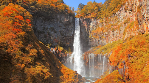 Nikko 1-day tour: World Heritage Site Toshogu Shrine + Lake Chūzenji + Kegon Waterfalls + Irohazaka Winding Road Day Tours