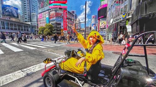 Go-kart tour Tokyo tower to Shibuya ( IDP&Passport Required ) Day Tours