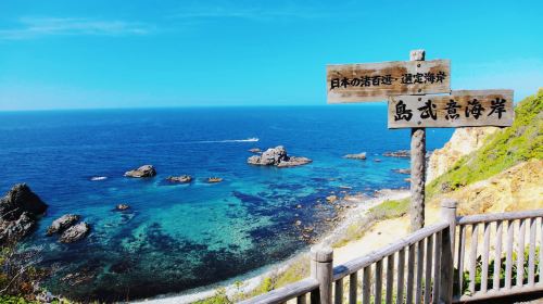 Hokkaido coastal charm | Shakotan Cape + Otaru + Shiroi Koibito day tour | Departing from Sapporo Day Tours