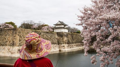 Osaka: Osaka Castle 3 hours Historical Walking Tour Day Tours