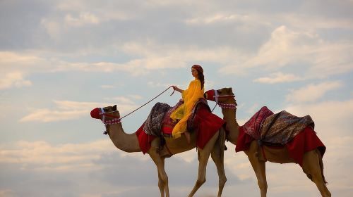 Dubai Self-drive Quad Bike, Sand Boarding, Camels & Refreshments