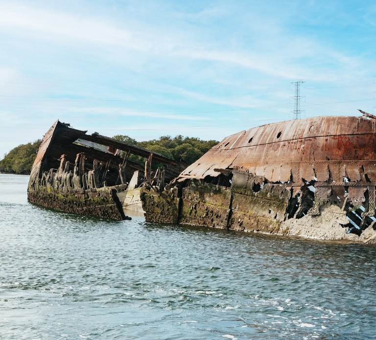 Port Adelaide: Dolphin and Ships Graveyard Cruise