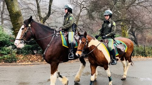 Central Park Pedicab Tour ( starting - Natural History Museum ) Day Tours