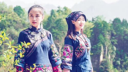 1-on-1 live guided tour in Zhangjiajie – Certified guide – Full Accompanying Service
