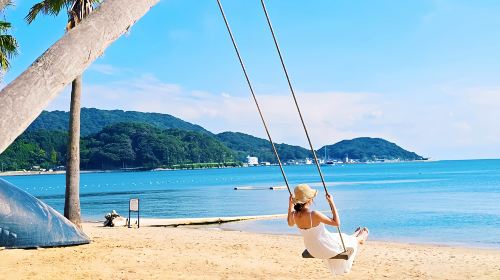 1-day tour to Yanagawa cruise + Itoshima – Dazaifu Tenmangu Shrine