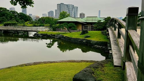 Tokyo Waterfront Tour: Tsukiji Market & Bay Area 3.5 Hrs Day Tours