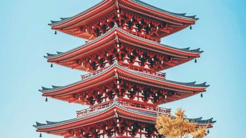1-day tour in Tokyo to Shinjuku Gyoen National Garden, Ueno Park, Sensō-ji and Akihabara