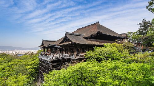 Jr pass Takayama and Hokuriku area 5-day rail pass [free global EMS shipping - shipped from Taiwan] Transport Passes
