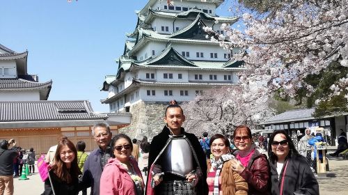 Nagoya Highlight Tour guided by a friendly local Day Tours