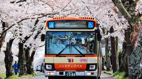 Izu Tokai Bus Free Ride Pass "Ito & Izu Kogen 2-day Ticket" Transport Passes