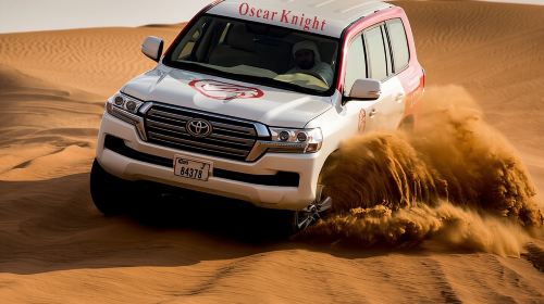 High Red Dunes with Camel Ride, Sandboarding, Falcon Show and VIP BBQ Dinner Day Tours