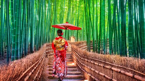 [Osaka/Kyoto Departure] Kyoto Day Tour | Arashiyama + Kifune Shrine + Sanzen-in (Optional Sagano Romantic Train | Seasonal Sakura Viewing) Day Tours