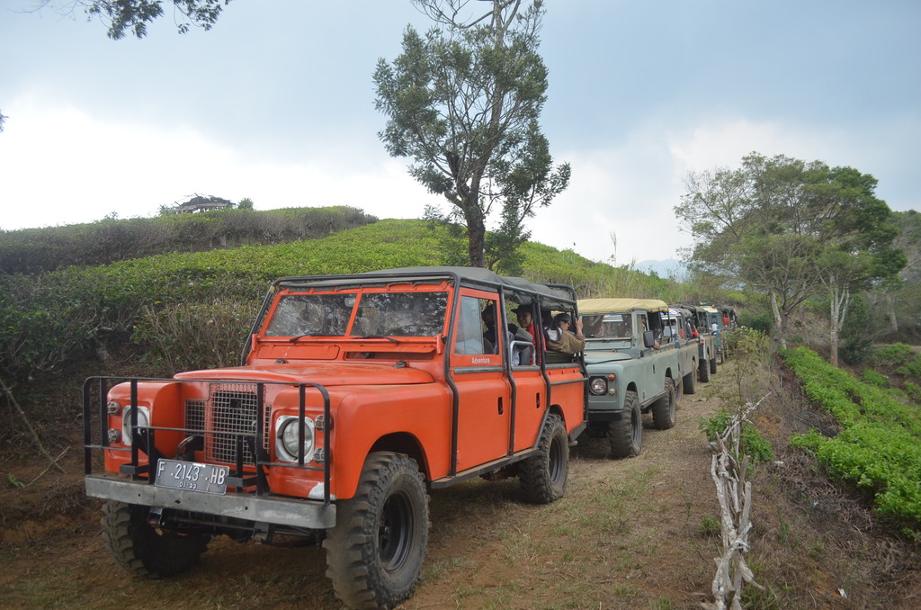 Fun Offroad Pangalengan Bandung – Land Rover Pine Forest Adventure