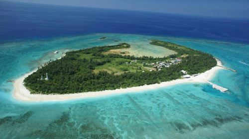 Okinawa Minna Island 1-day tour – experience paragliding