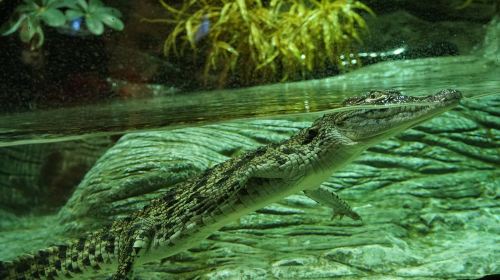 Sevilla Aquarium