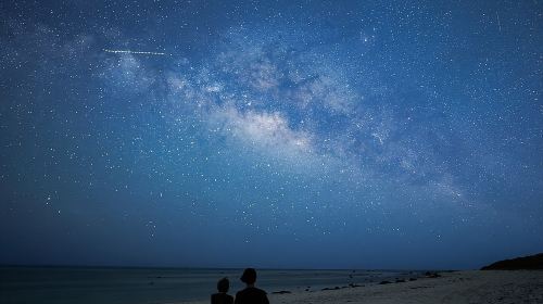 Okinawa Ishigaki Island Night Starry sky and Jungle night tour Day Tours