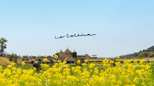 Luxury Day Trip: Hikone Castle, Ohnohama Walk, Maibara & Kurokabe Plaza