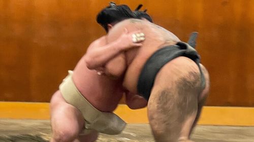 Chair Seat Guaranteed SUMO Practice +Photo +Culture Option Day Tours