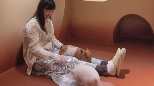 pignic cafe Yoyogi Park Store: Mini Pig Private Room Interaction + Choice of 2 Dining Vouchers