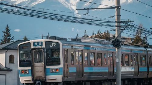 Mt. Fuji Fruit Picking, Lake Kawaguchi Train & Oishi Park 1-Day Tour