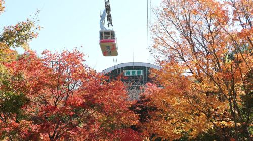 Kyushu Hot Spring Hidden Gems Tour | Beppu + Yufuin Healing Day Trip