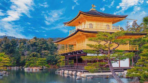 Kyoto Ancient Capital Cultural Tour – A Day Trip to Kyoto's Ancient Temples and Fushimi Inari Shrine