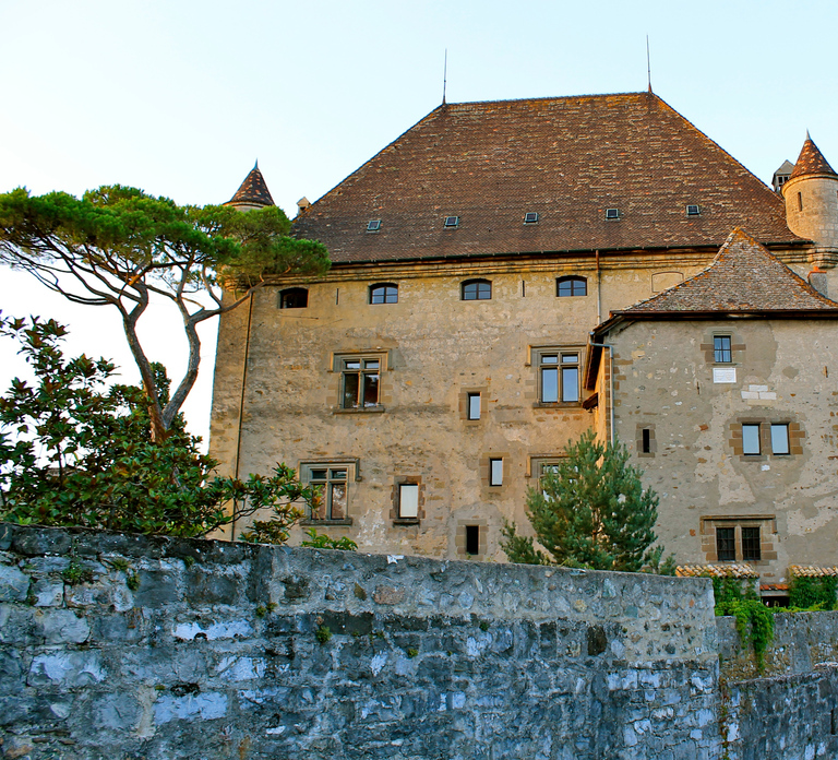 From Geneva: Yvoire medieval village & Lake Geneva Cruise