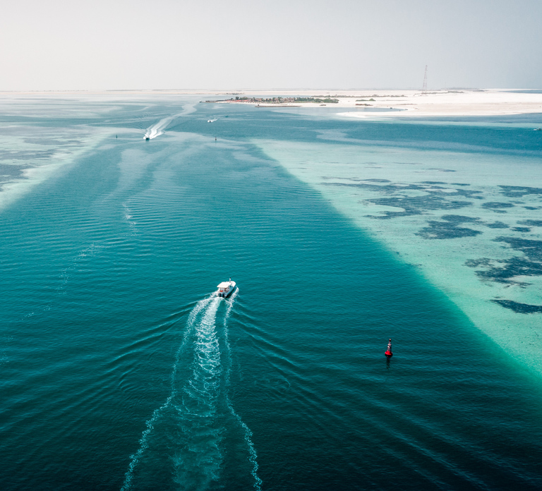 Abu Dhabi: 4-Hour Guided Cruise & Island Hopping