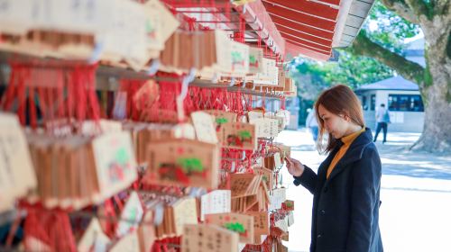 Fukuoka Seafood Market & Local Flavors Day Tour with Dazaifu