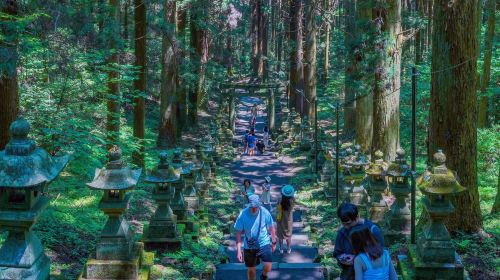 Kyushu Miyazaki Kamishikimi Kumanoimasu Shrine + Takachiho Gorge with boat ride experience + Amanoiwato Shrine
