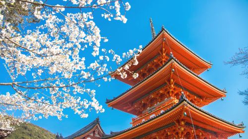 Kyoto and Nara Day Tour – Kiyomizu-dera Temple, Fushimi Inari-taisha Shrine