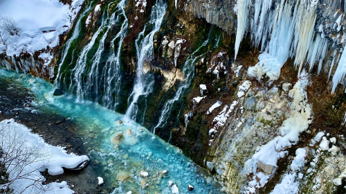 Popular 1-day tour to Biei and Furano in Hokkaido - Farm Tomita + Shirogane Blue Pond (Aoiike) + Shirahige Waterfall