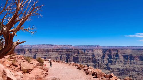 Grand Canyon West + Joshua Tree Photostop + Hoover Dam Overlook + Hemenway Park Bus Tour