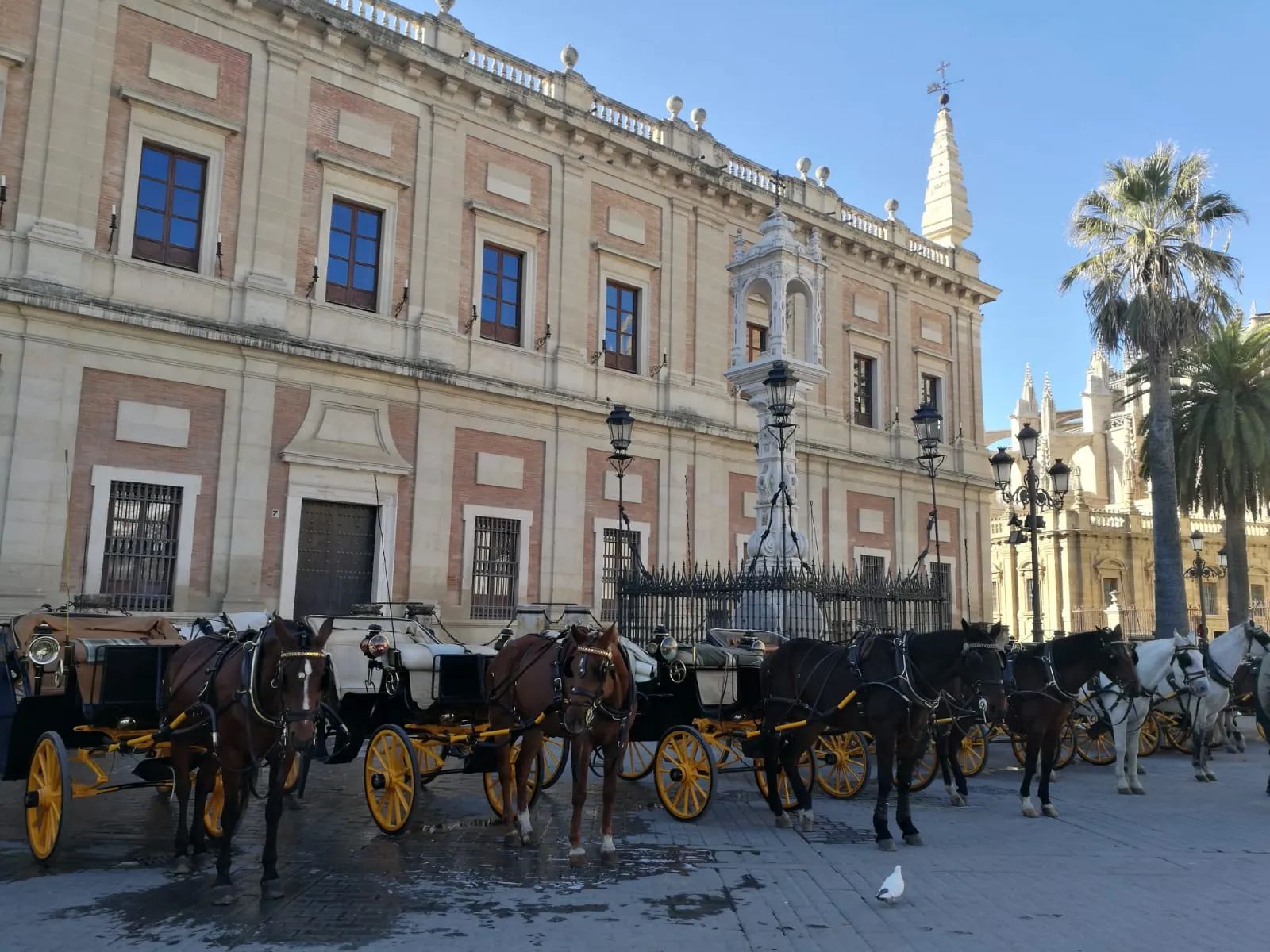 Carriage ride through in Seville
