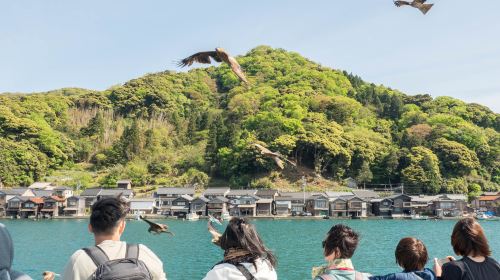 Kyoto Amanohashidate + Ine Fishing Village Day Tour [Departure from Osaka/Kyoto] Day Tours
