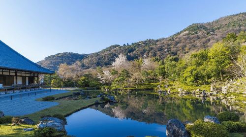 Kyoto:Quiet Arashiyama and Sagano Temples Day Tours