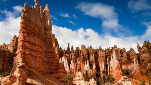 Bryce Canyon and Zion National Parks Day Tour From Las Vegas with Lunch