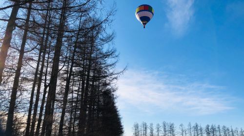 Exclusive for Overseas Travelers: Hot Air Balloon Free Flight Experience Course