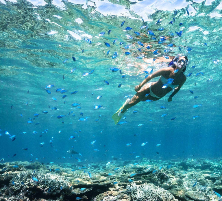 Try Dive for first time in fujairah