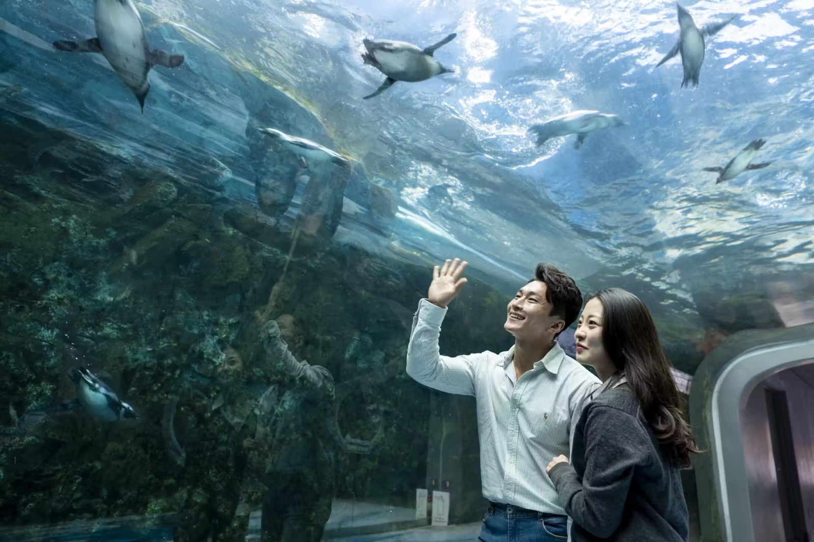 Aqua Planet Jeju