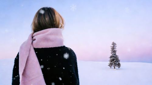 Hokkaido Illumination Tour & Shikisai no Oka & Christmas Tree & Elf Terrace & Shirogane Blue Pond (Aoiike) Waterfall / Chinese-Speaking Driver Guide Day Tours