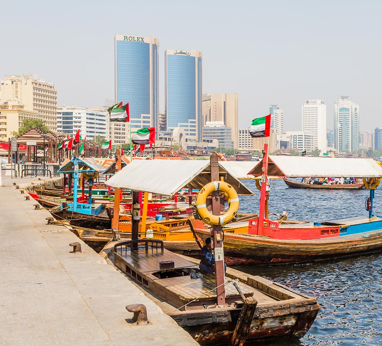 Ras Al Khor Wildlife Sanctuary with Dubai City Tour