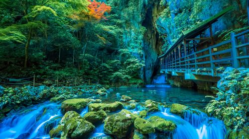1-day tour of Kitakyushu and Yamaguchi – Motonosumi Shrine