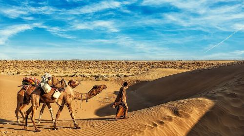 Vip Sunset Evening Safari Dubai: Camel Ride, Shows & BBQ Dinner Day Tours